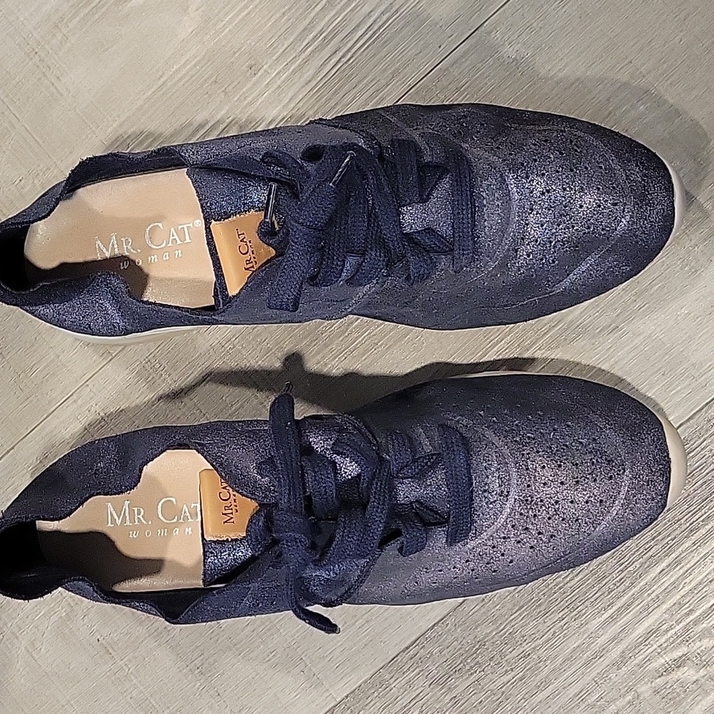 Mr. Cat Brazilian Brand Shoes Size EU 40 Or 9 US.   Metallic Blue Suede